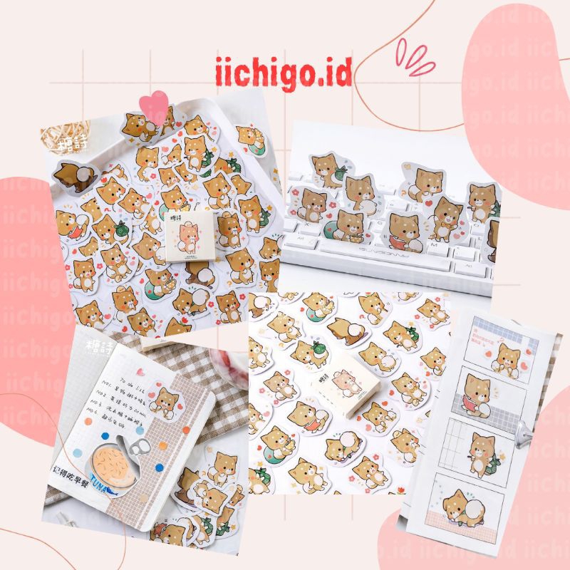 

[ 5 pcs ] cute sticker/stiker lucu kucing sharing deco scrapbook