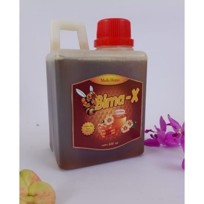 

Madu Asli/Madu Lebah (600ml)