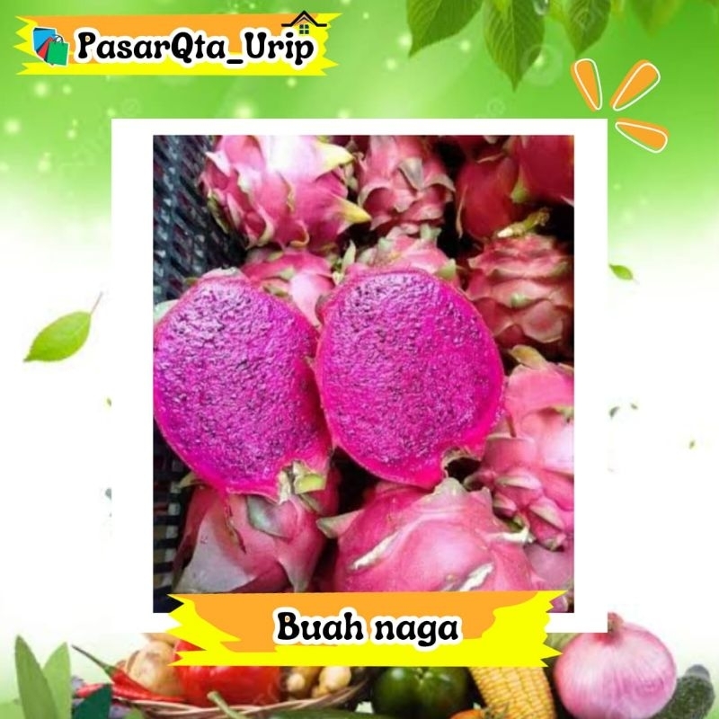 

1 biji buah Naga per 500gram / pasar buah makassar / Pasar online makassar