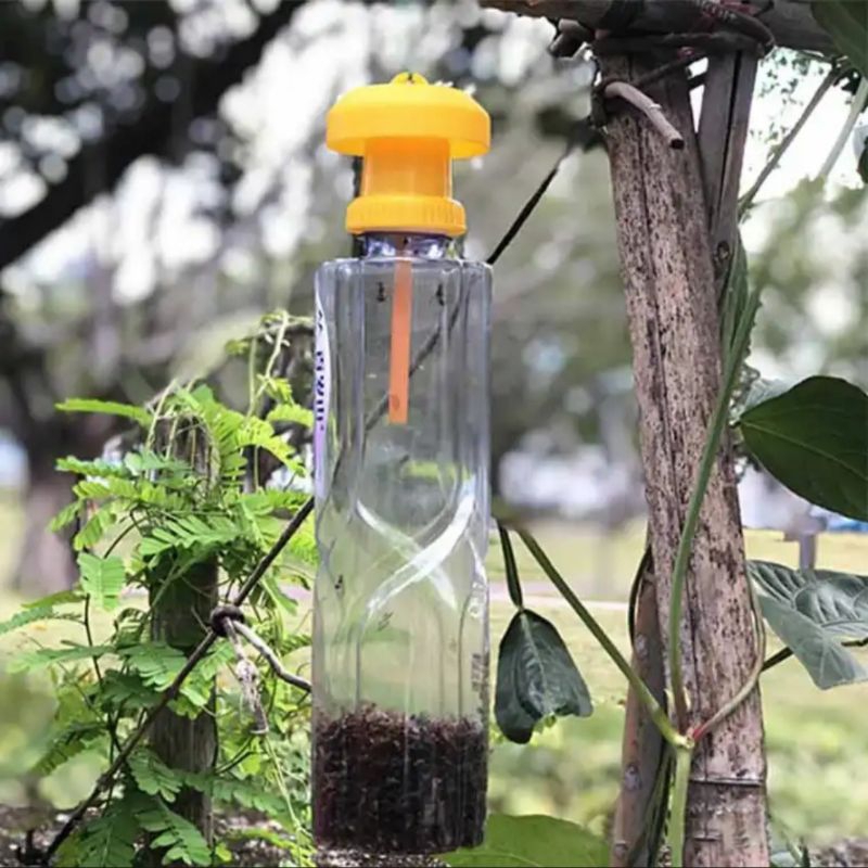 Petrogenol Atraktan Lalat Perangkap Lalat Buah