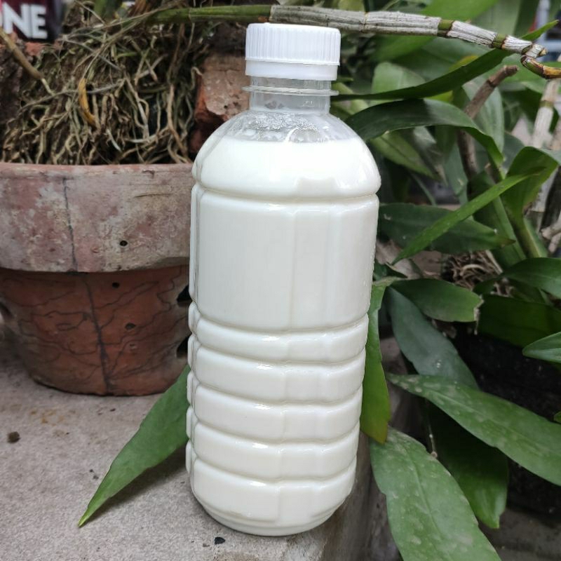 

SUSU MURNI KAMBING ETAWA 1lt