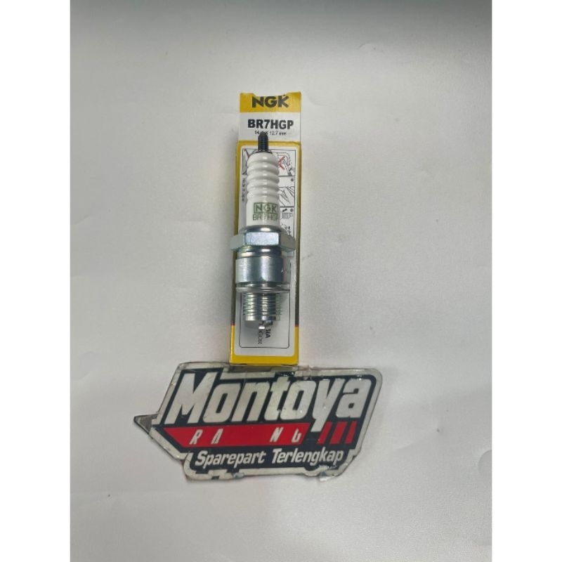 Busi NGK G Power RX King F1ZR