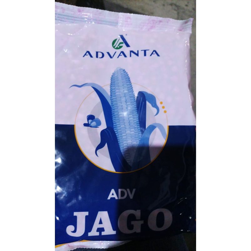 Benih Jagung Adv Jago Advanta Jago