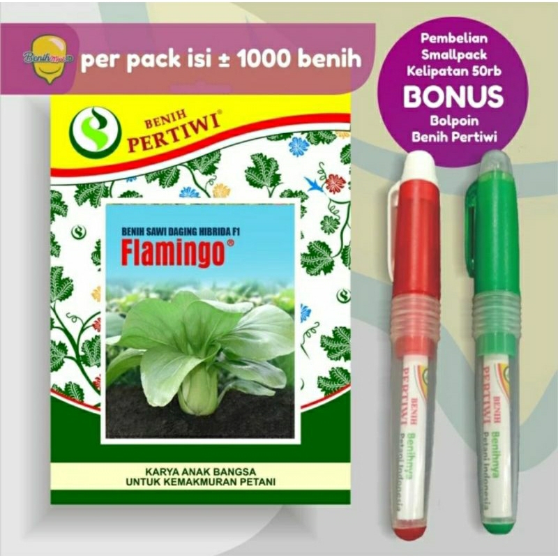 Benih Pakchoy / Sawi Sendok FLAMINGO