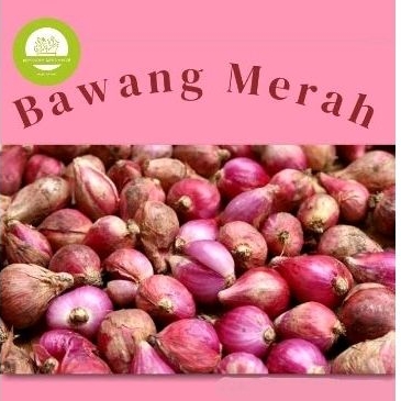 

Bawang Merah Brebes super 1kg