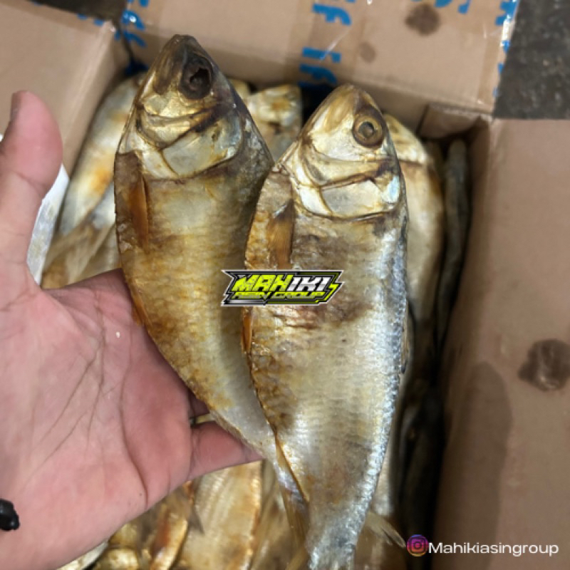 

Ikan Asin Belo 500gram