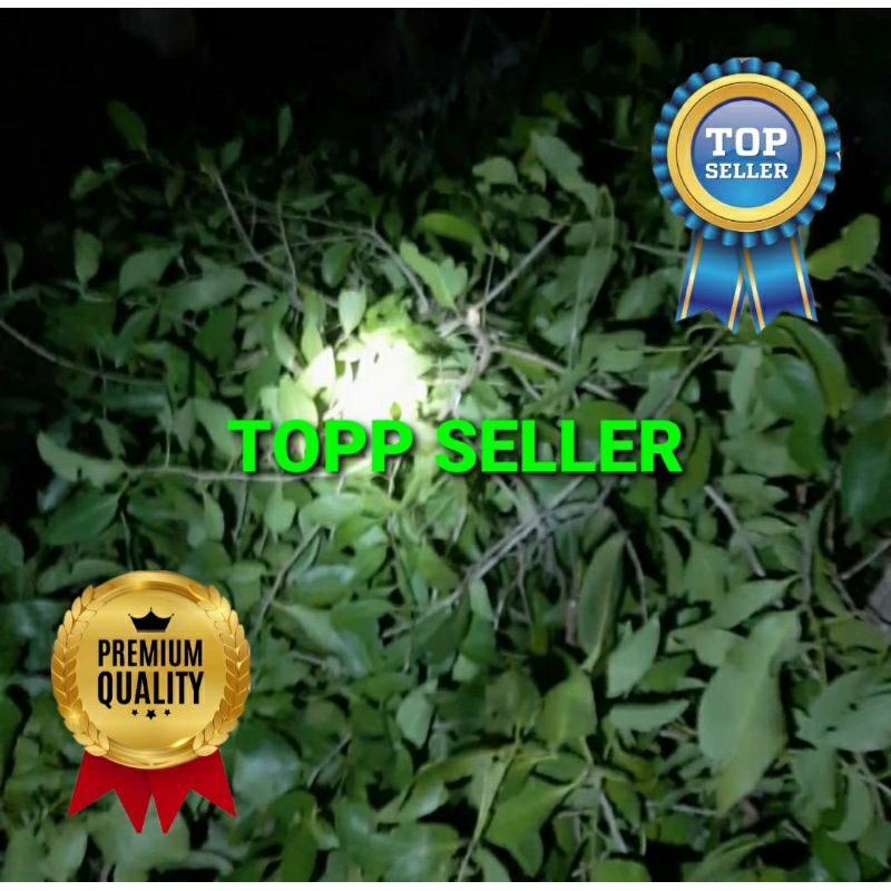 

BENALU DELIMA KERING HIJAU SUPER PREMIUM 1 KG