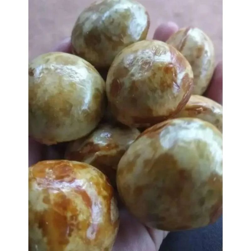 

jengkol tua