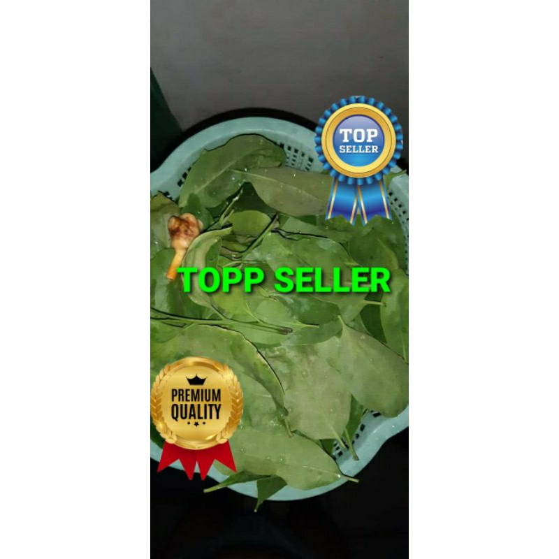 

BENALU KETAPANG KERING HIJAU SUPER PREMIUM 1 KG