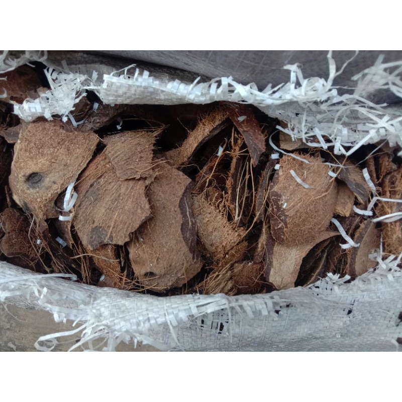 Tempurung batok kelapa cacah recah  kering siapp pakai//1kg