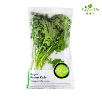 

Kale Curly Super Green Hydroponic Amazing Farm 200 Gram Sayur Fresh Hidroponik Segar