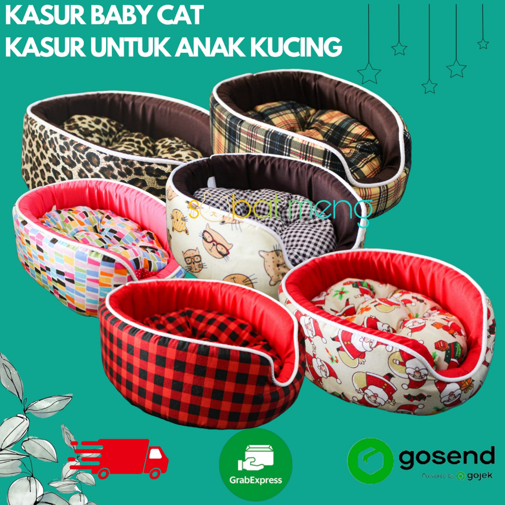 KASUR BABY KUCING | KASUR KUCING KITTEN