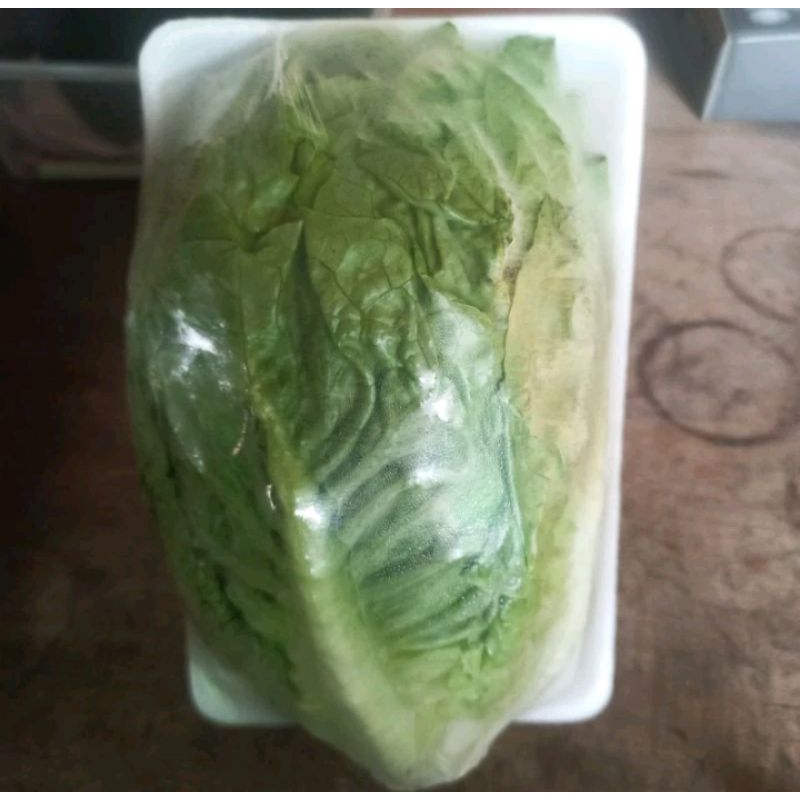 

Lettuce Romaine Fresh