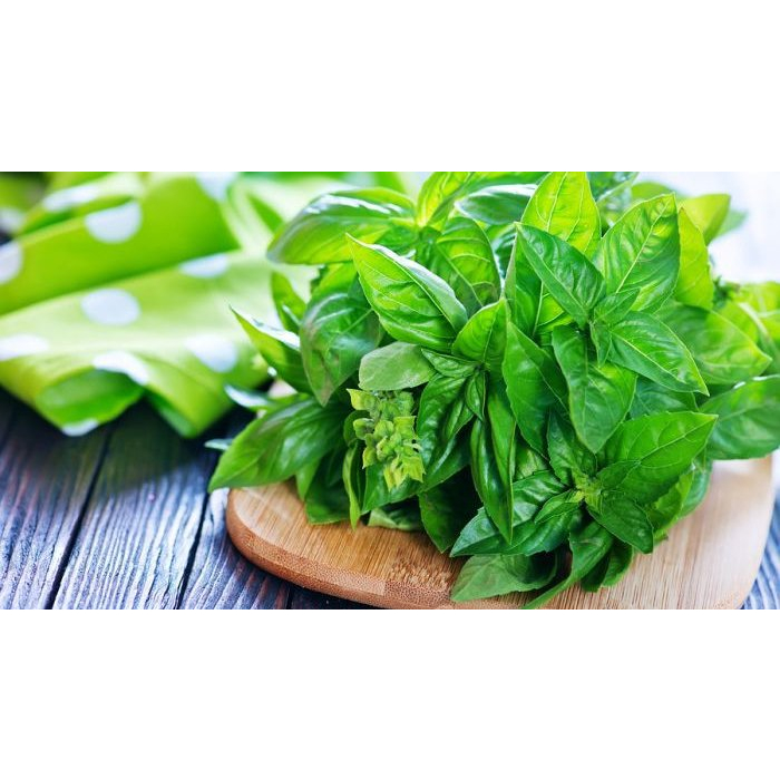 

DAUN KEMANGI PER PACK