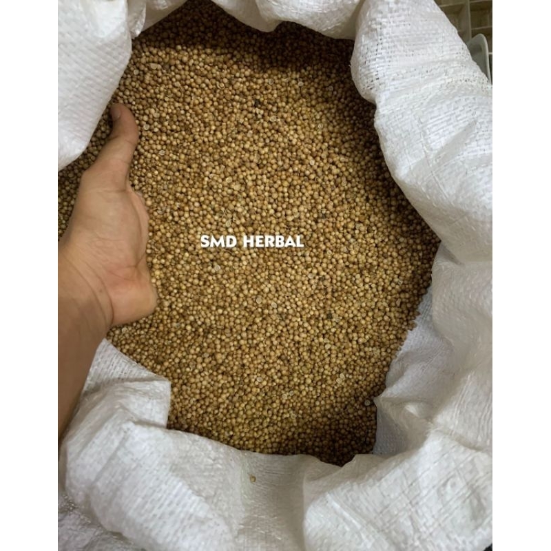 

RB22 Ketumbar Hitam Organik Premium [ 1 KG]-SMD Sembuhkan Darting Kolesterol Jantung Asam Urat