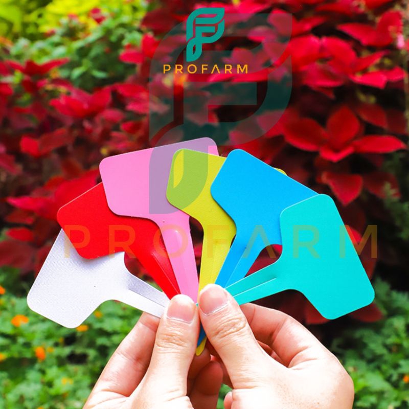 LABEL TANAMAN TAHAN AIR, LABEL PENANDA TANAMAN BAHAN PVC JENIS T BESAR 10x6 cm - Name Tag Tanaman, H
