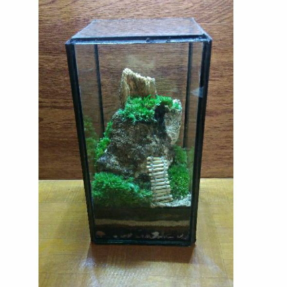 MOSS TERRARIUM,TERRARIUM LUMUT,MOSS TERRARIUM KIT