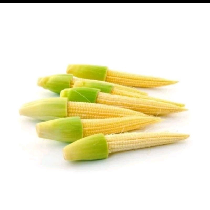 

Baby Corn Janten Fresh Sayur Segar