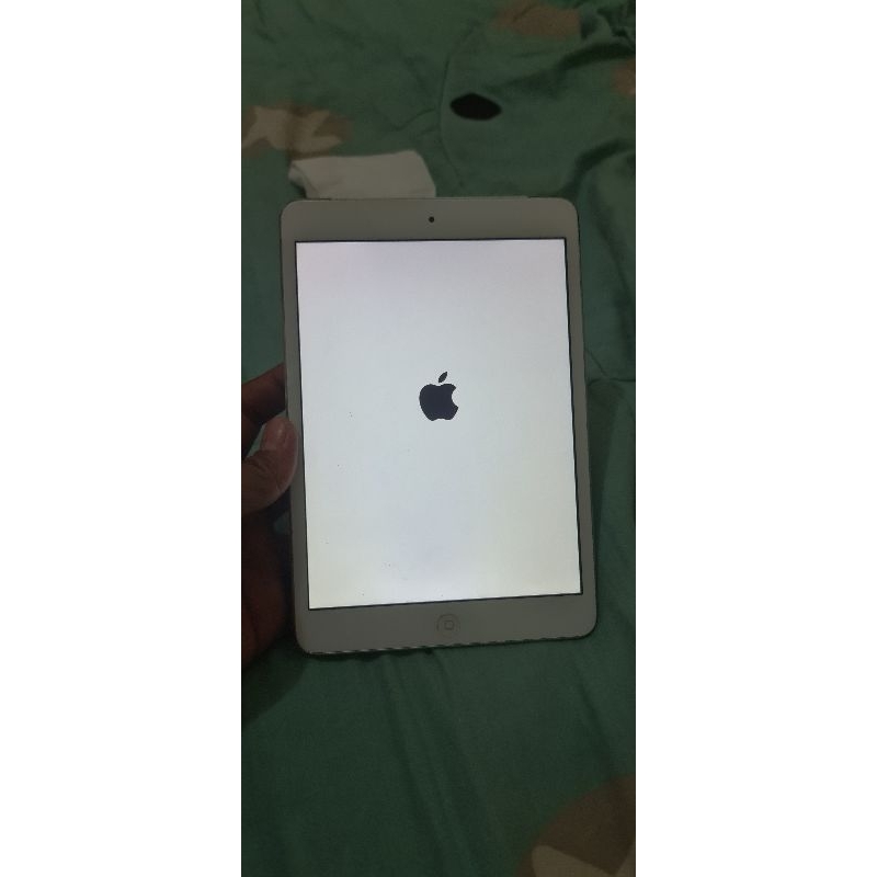 ipad mini3