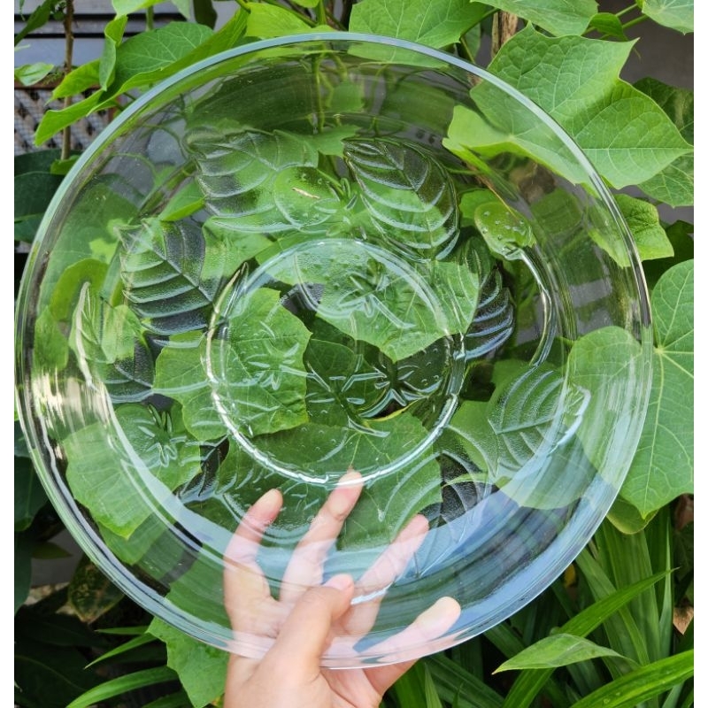 PIRING SAJI MOTIV KACA BENING JUMBO