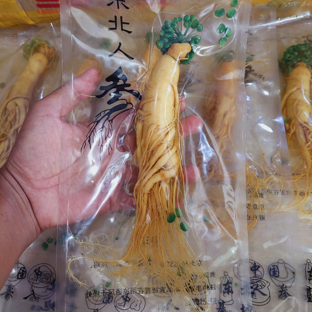 

Ginseng Fresh Jumbo Jamu Herbal