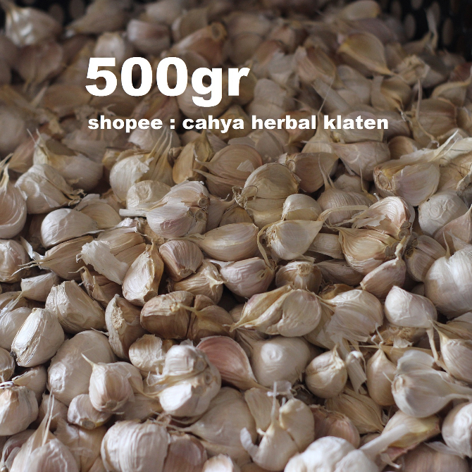 

Bawang Putih Kating Kering Bersih 500gram 1/2kg Kualitas Premium Tidak Busuk