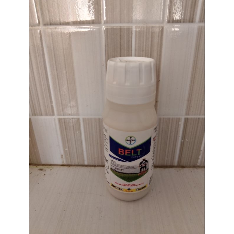 BELT expert 480 SC 100ml