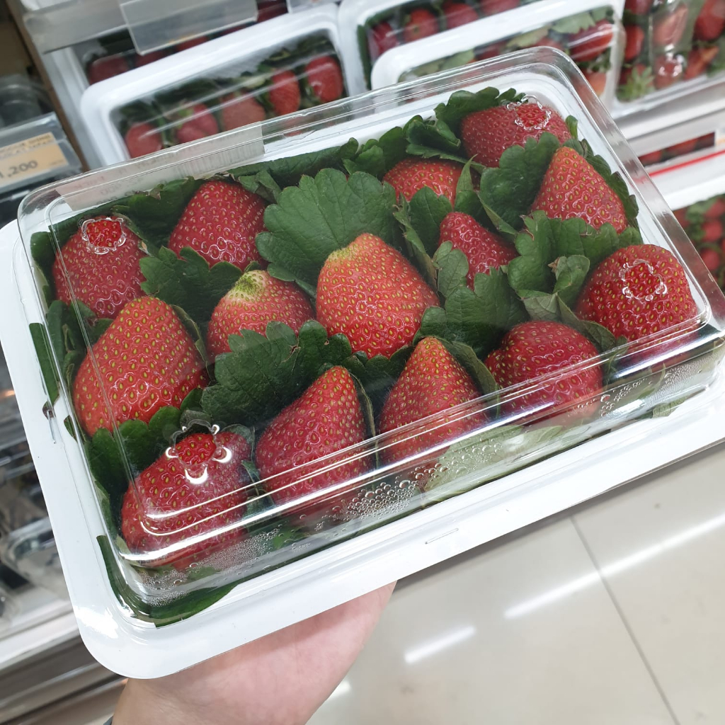 

Honey Strawberry Grade A / Buah Stroberi Segar / Real Fresh Fruits 250 Gr