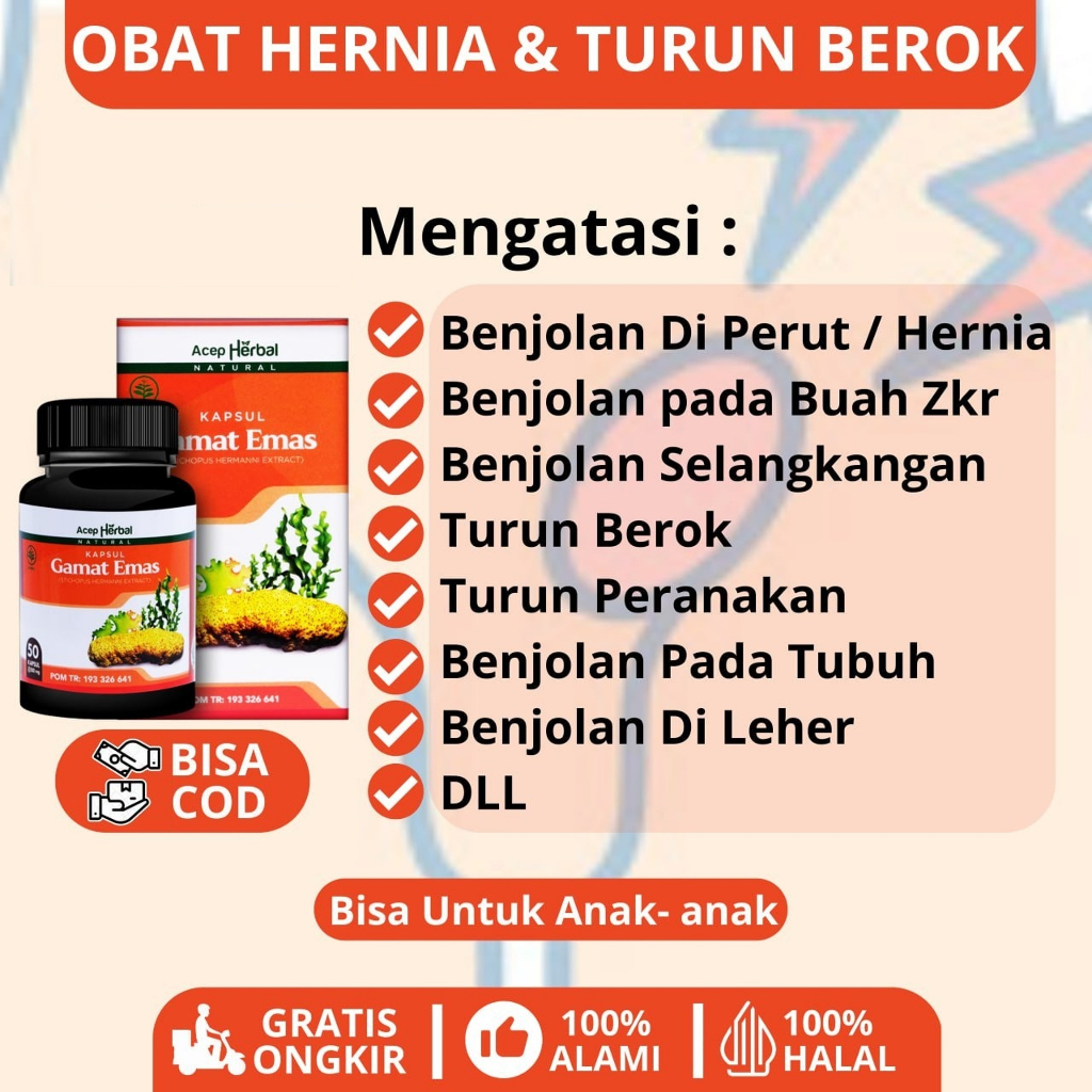 Kapsul Gamat Emas Acep Herbal Benjolan Hernia benjolan Perut Turun Berok benjolan selangkangan benjo