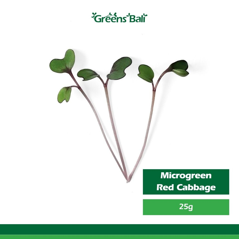 

Greens Bali Red Cabbage Microgreens 25g