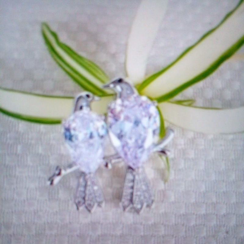 bros model bird love silver