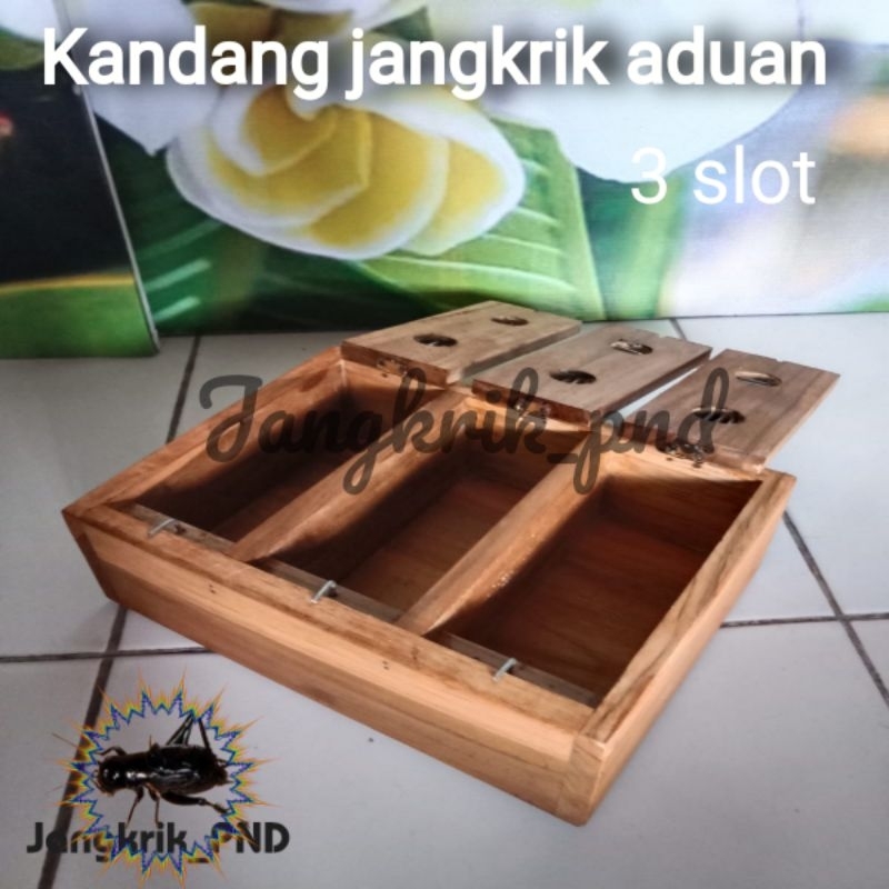 kandang jangkrik aduan 3 slot / kandang jangkrik kayu unik / kandang jangkrik balap
