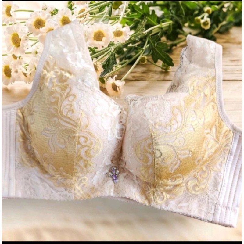 ( 3pcs ) Paket usaha bra wanita kawat Fashion busa Tebal