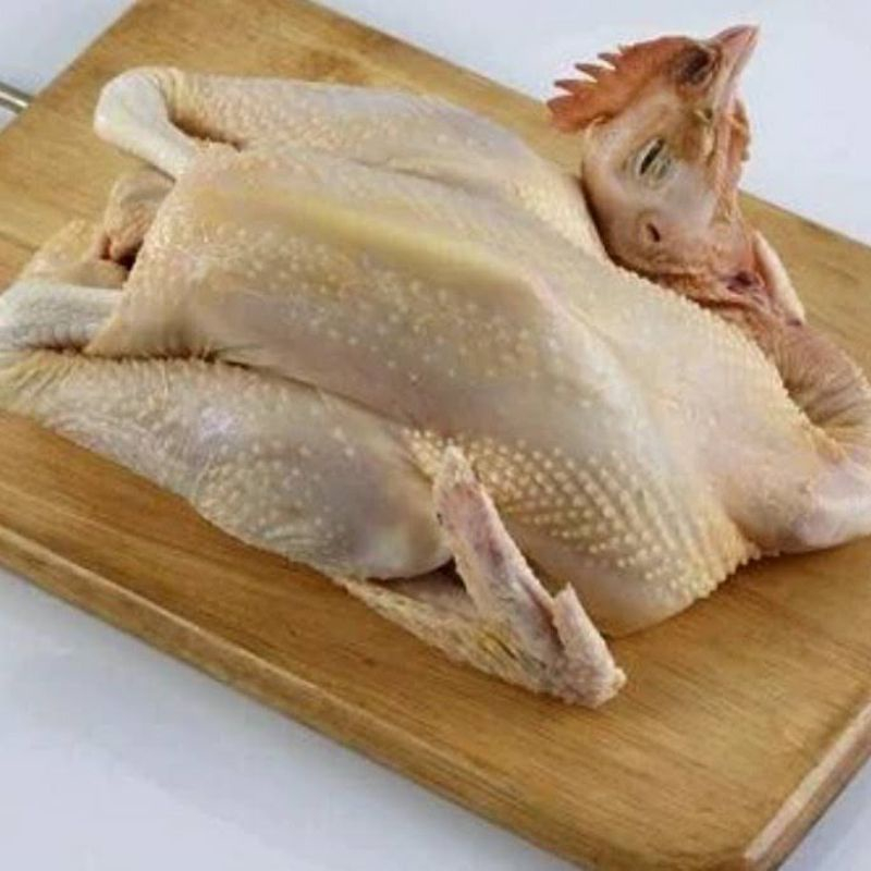 

Ayam Kampung