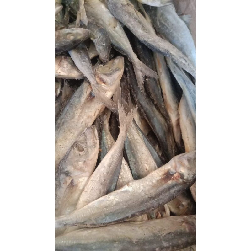 

IKAN ASIN MURAH /CUMI ASIN/layang asin 250gr