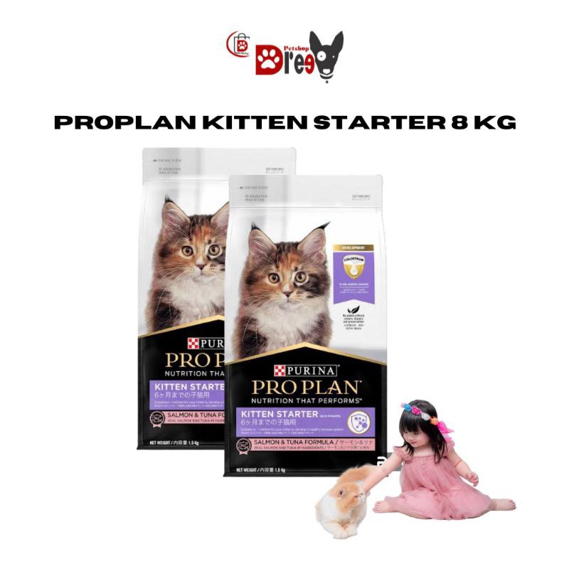 proplan cat kitten 8 kg