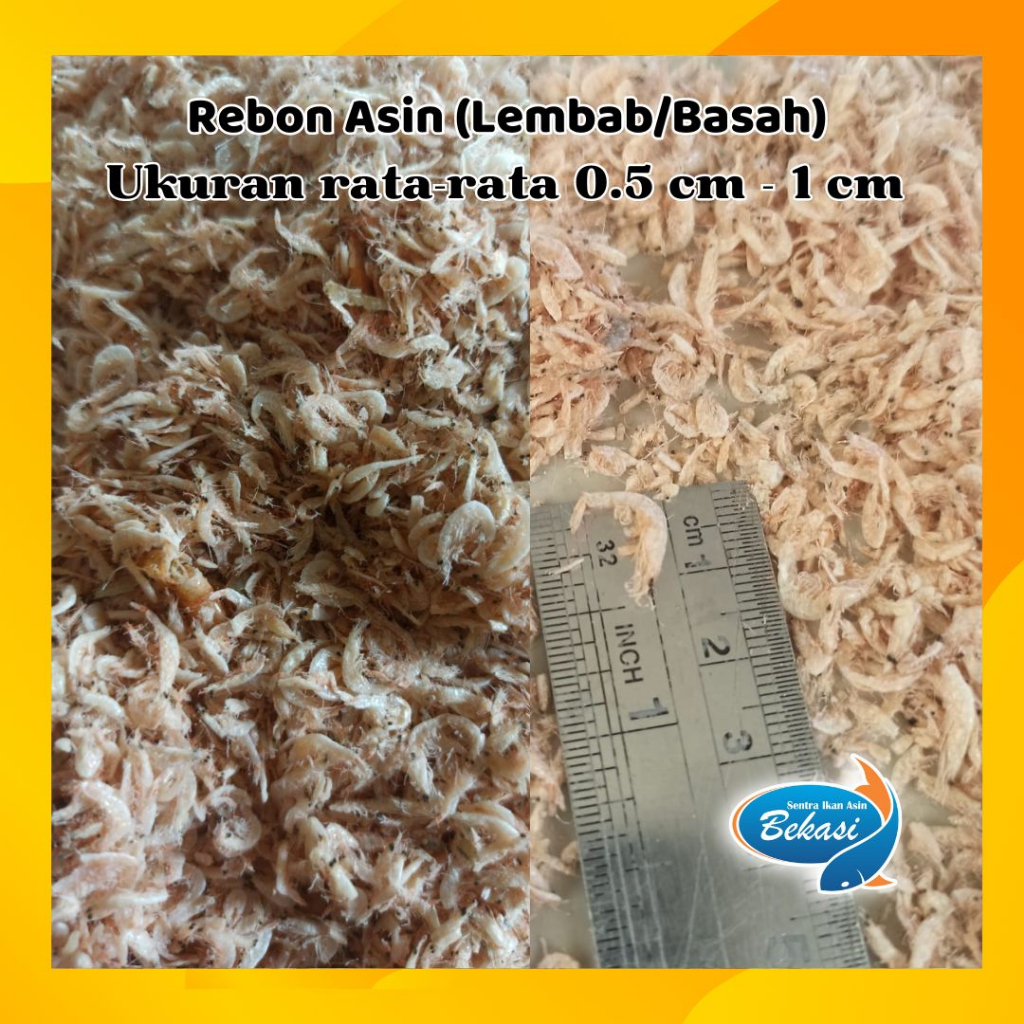 

Udang Rebon Asin 250 gram Ukuran 1-3 cm