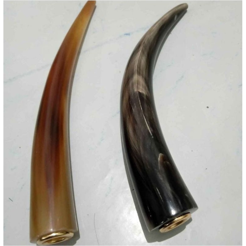 sedotan tanduk kerbau bule