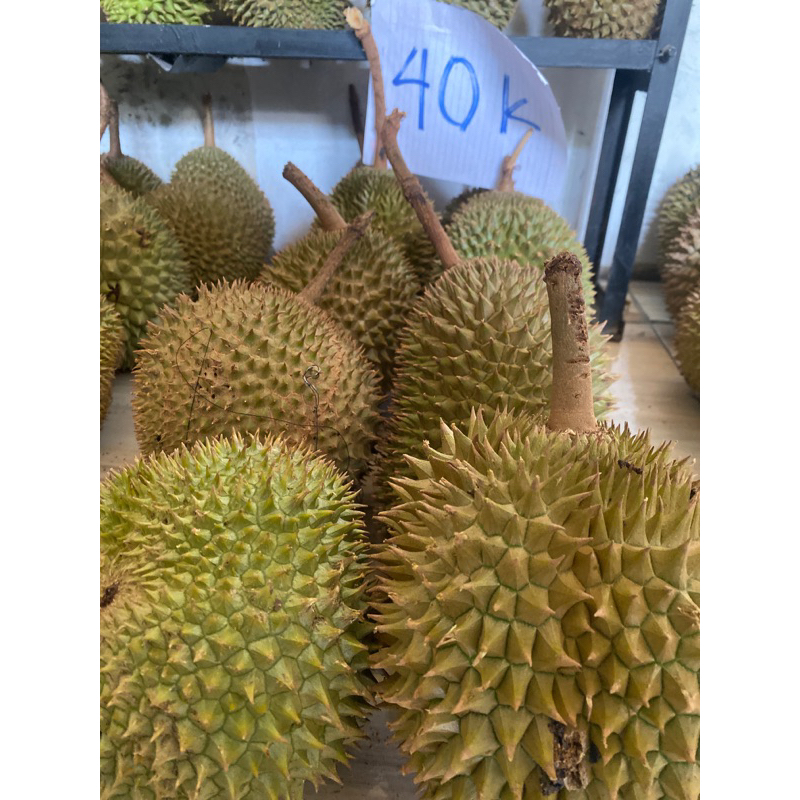 

durian