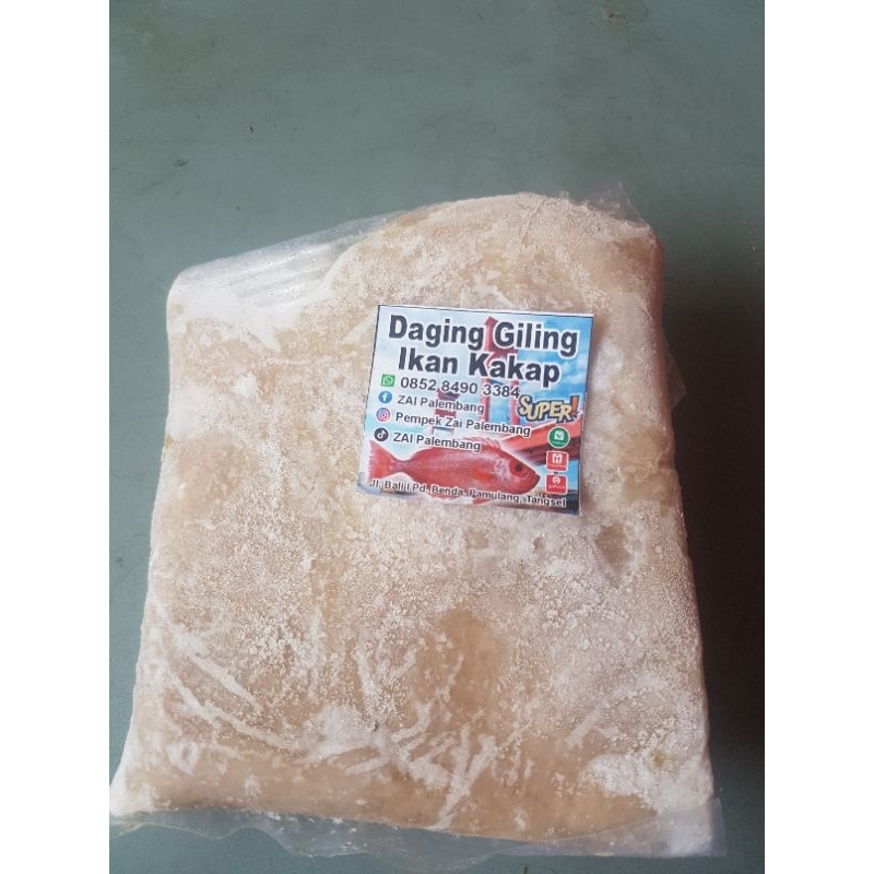

ikan kakap super berat 500 gram