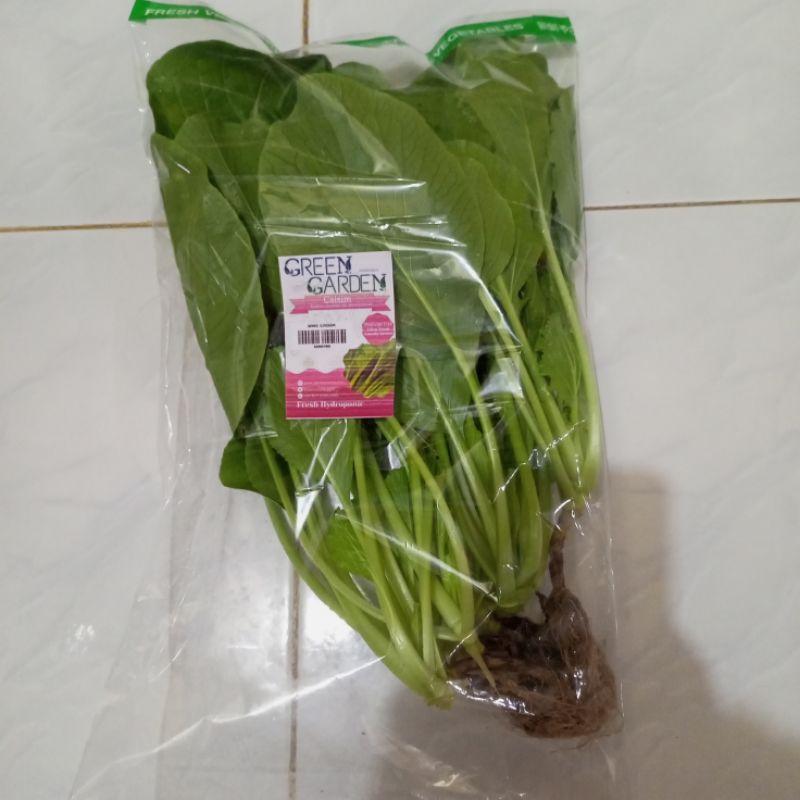 

Sawi Caisim Hidroponik Organic | Green Garden |