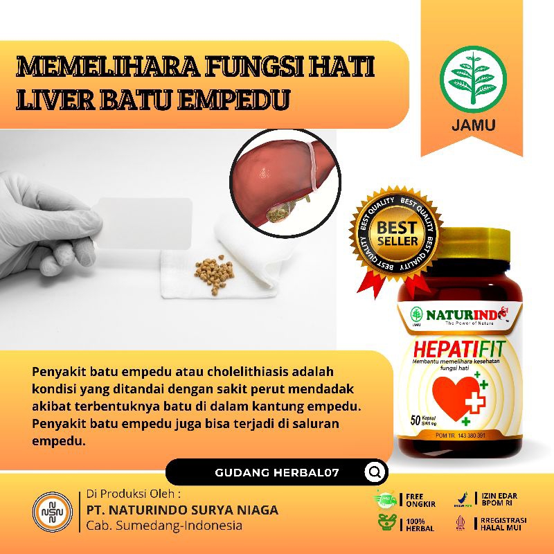 Obat Herbal Batu Empedu Liver  Memperbaiki Fungsi Hati Dan Liver Nyeri Perut Kanan Dan Pencernaan BP