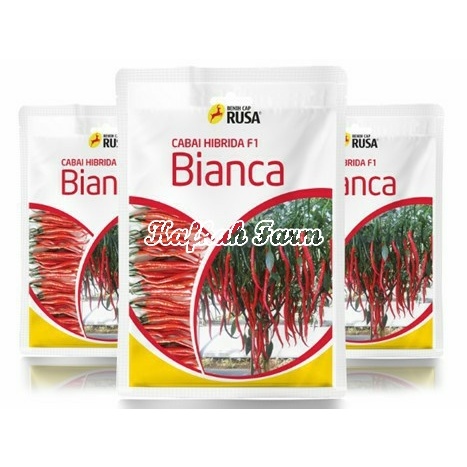 Benih 5 Biji Cabe Keriting BIANCA F1