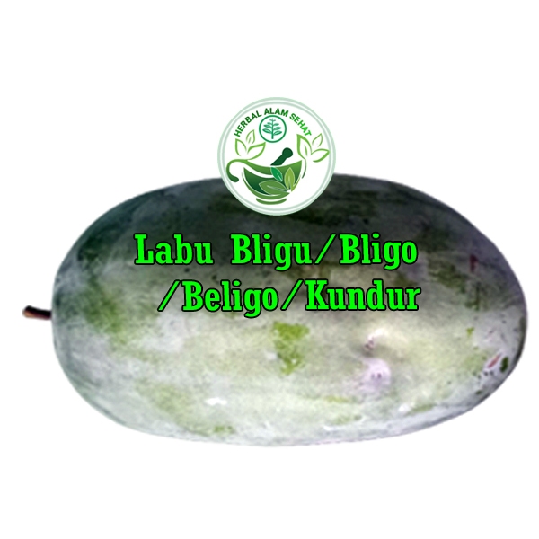 

Buah Labu Bligu atau Buah Bligo atau Buah Beligo atau Buah Kundur