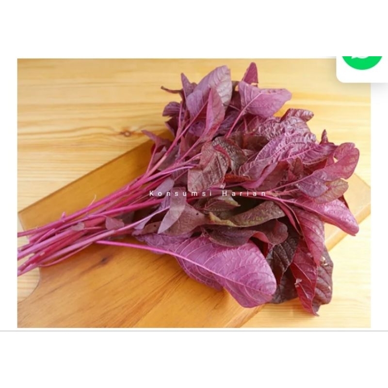 

Bayam Merah / Red Spinach 1ikat