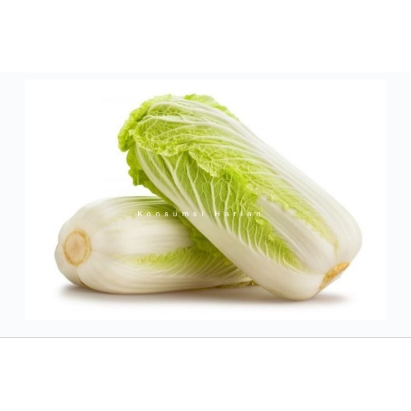 

Sawi Putih / Chinese Cabbage 800gram