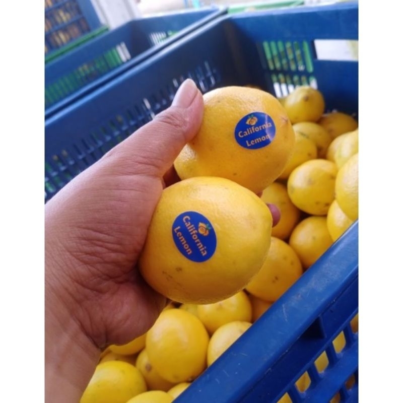 

LEMON CALIFORNIA IMPORT