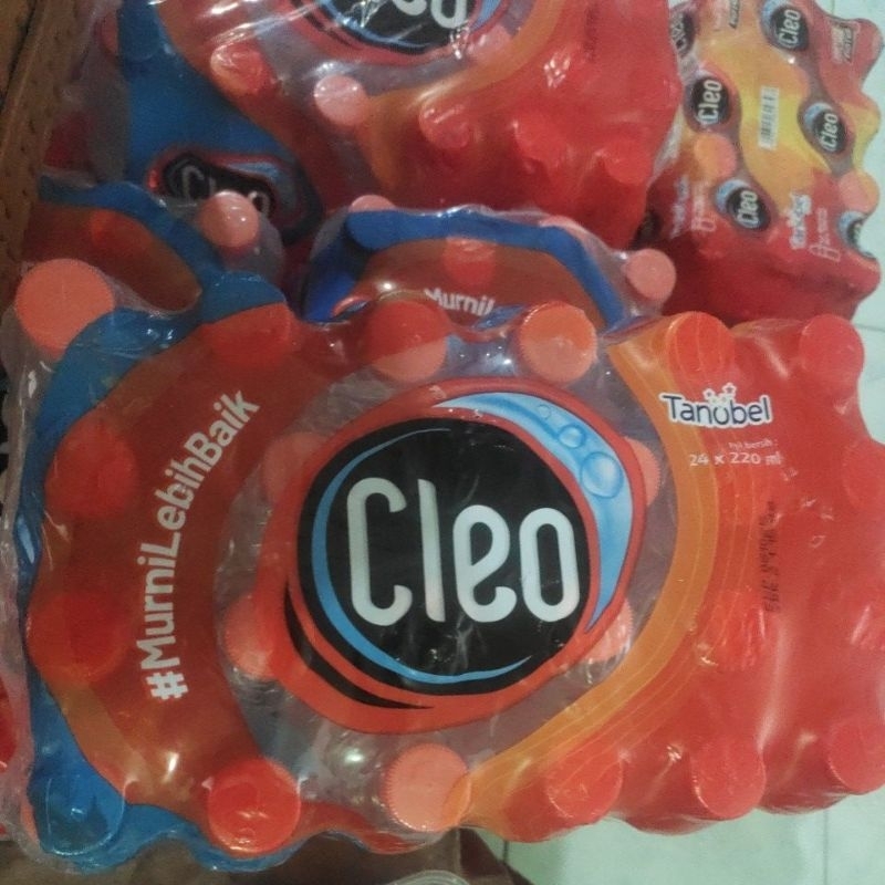 

cleo mini