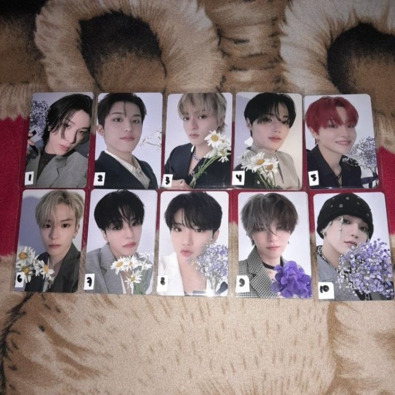 Photocard Official TC Treasure Reboot Special