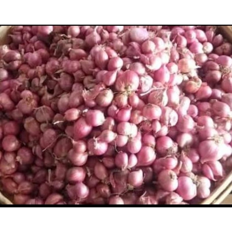 

bawang merah kering 1kg